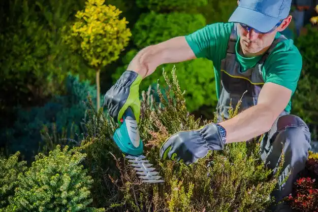 landscaping services The Pinehills